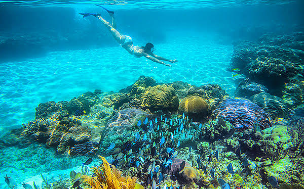 Plongée dans le monde du snorkeling : entre excitation et sérénité