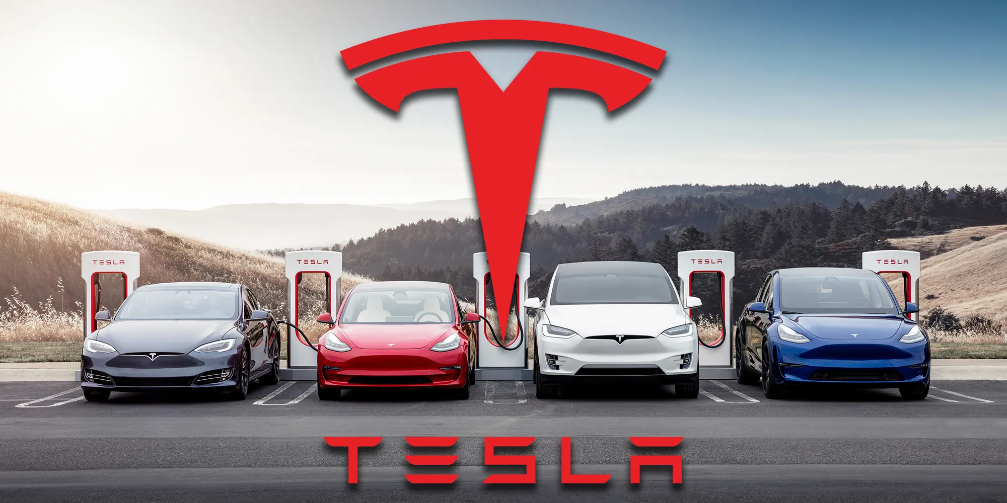 Tesla : les ventes de la marque d'Elon Musk ont de nouveau plongé en mars dans l'Union européenne