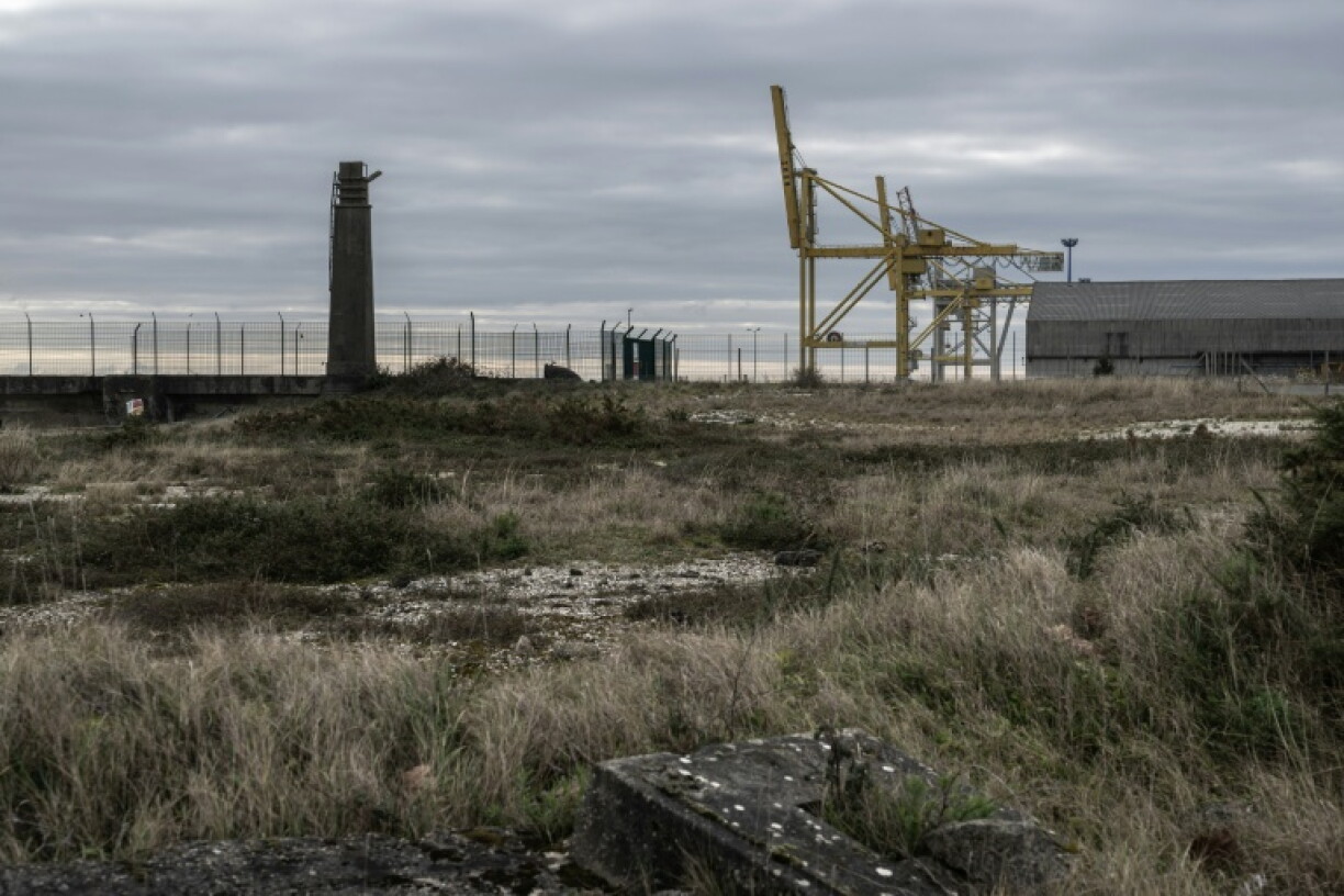 Feu vert à un projet contesté de mégaferme terrestre à saumons