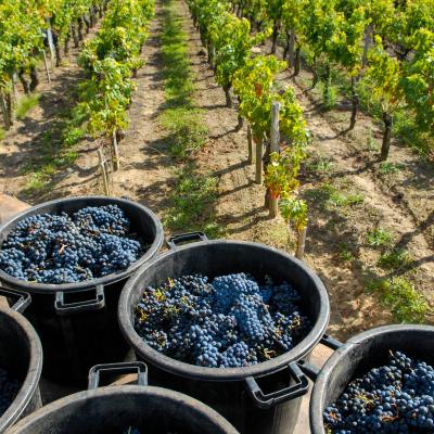 Quel impact sur les produits italiens si Trump impose des droits de douane ?