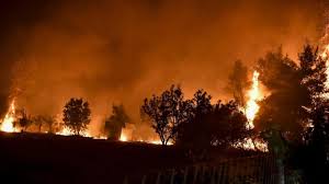 La Grèce aux prises avec des dizaines de feux de forêt dans un contexte de canicule croissante