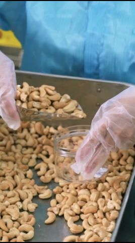 La Chine élargit l'accès au marché pour les noix de cajou africaines